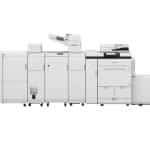 No_065_8100_PDLITE_INS_PUN_FOL_SFINM_F_CUSA